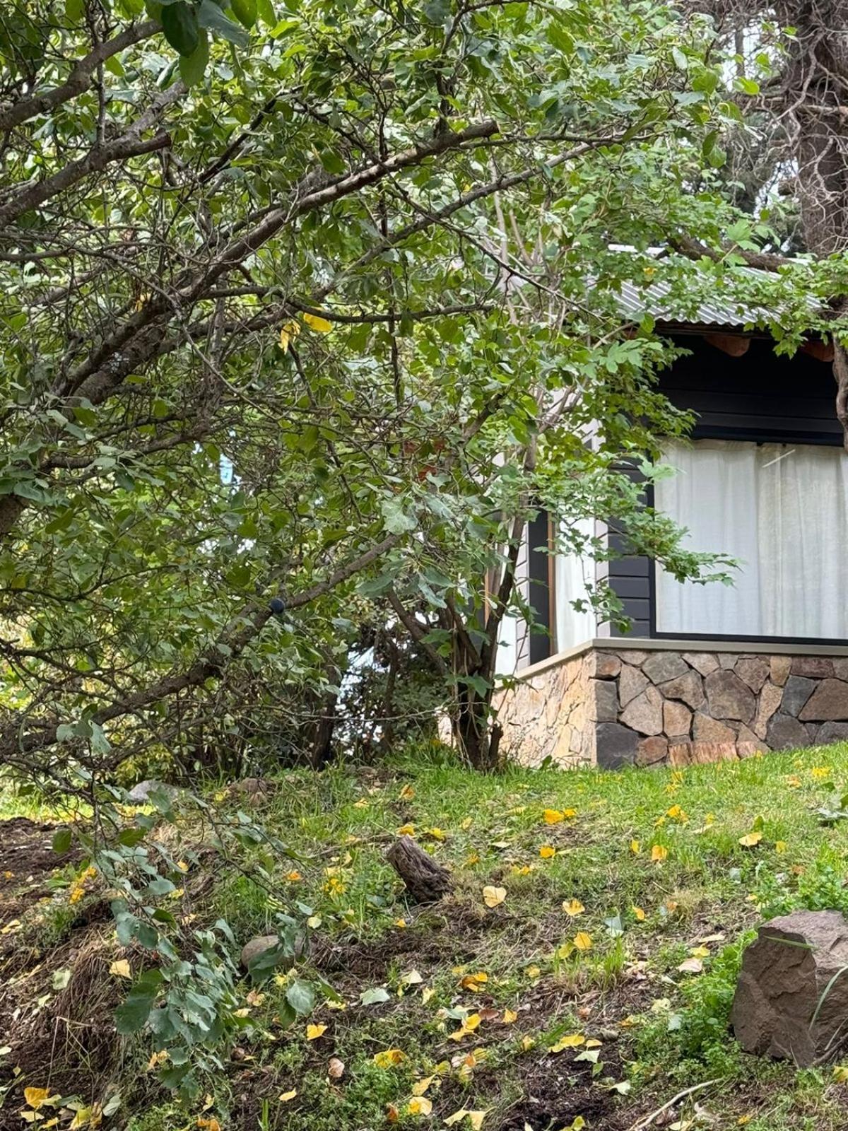 فيلا Huilen De Bandurrias San Martín de los Andes المظهر الخارجي الصورة